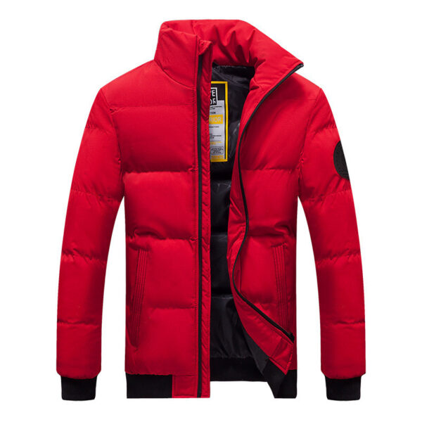 New tooling down padded jacket